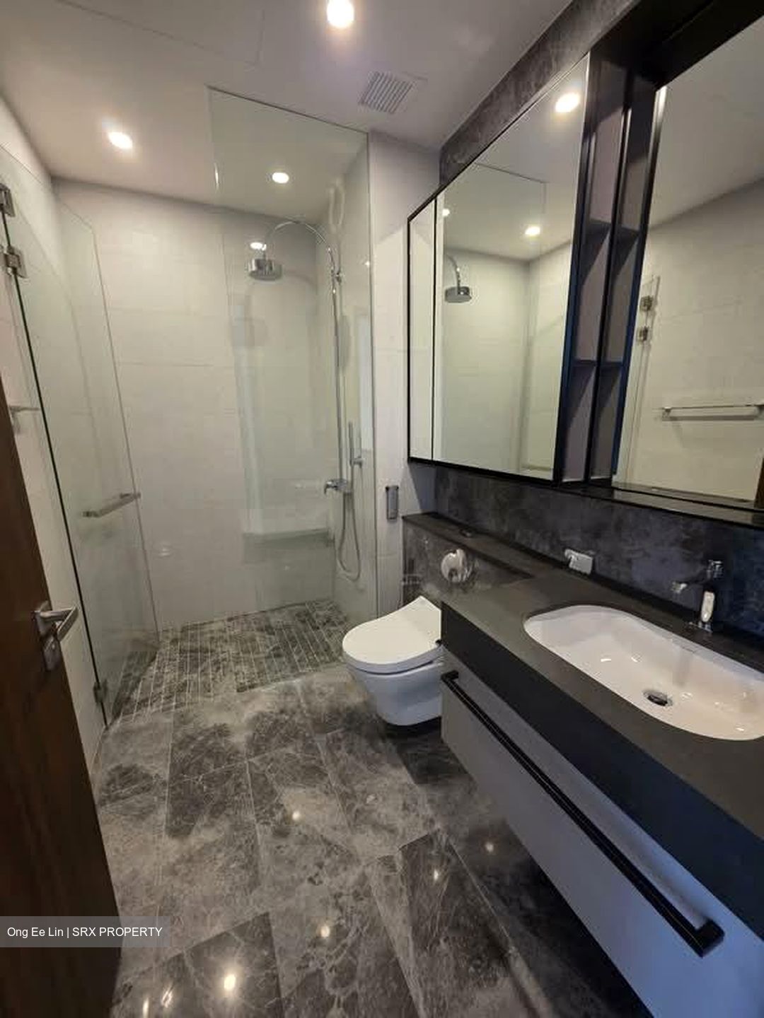 Parksuites (D10), Apartment #592293491